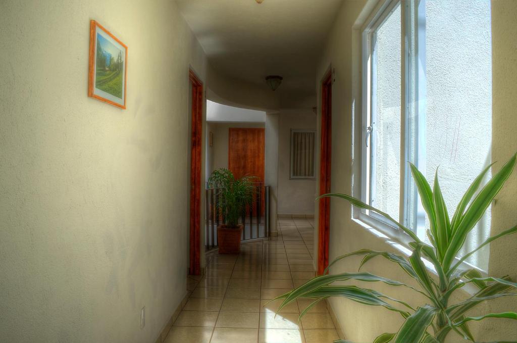 Hotel Y Posada Refugio Independencia موروليا المظهر الخارجي الصورة